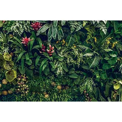 A dense, vibrant green tropical jungle leaf photography backdrop featuring various large and small leaves and red flowers.