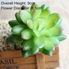 Artificial Succulent Bonsai for Desk & Home Decor
