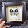 A framed piece of art featuring a butterfly illustration with text that reads Carpe Diem and Had I not seen the sun I could h