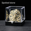 A rough, speckled stone specimen is displayed inside a clear square box.