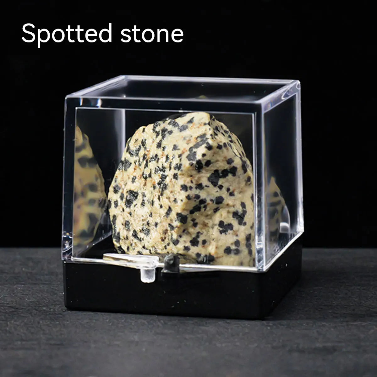 A rough, speckled stone specimen is displayed inside a clear square box.