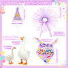 A set of decorative birthday costumes featuring white goose figures and purple tissue paper decorations.