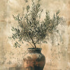 A potted olive tree in an earthy terracotta vase against a textured, vintage background.