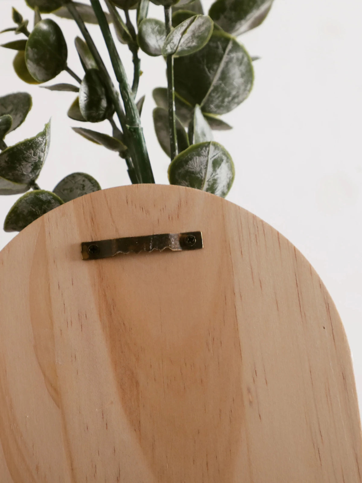 Jarrón de pared arqueado de madera clara con soporte metálico oscuro y hojas de eucalipto verde.
