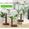 Glass wooden frame hydroponic plant display featuring various green plants.