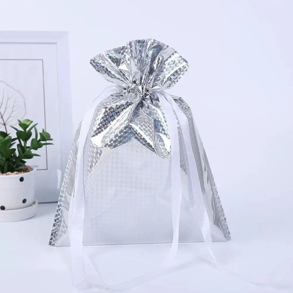 A clear silver festive drawstring gift bag tied with a large bow, set against a white background.