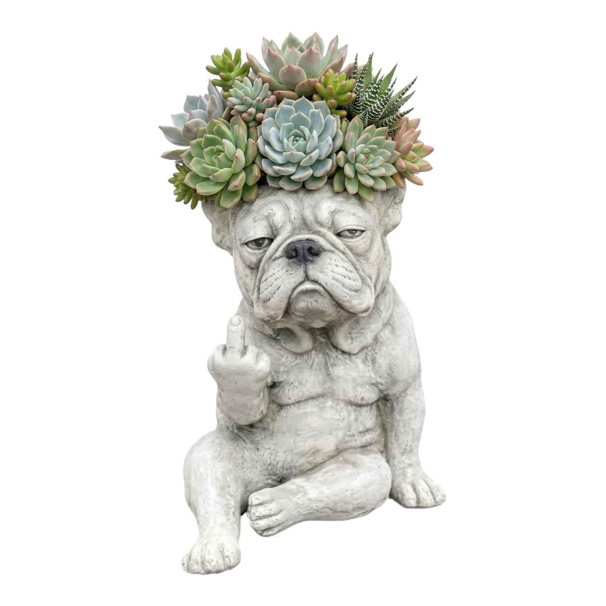 Un pot en résine sculpté en forme de bouledogue français avec de la verdure succulente sur la tête.