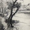A charcoal sketch of a bare tree and a body of water with distant foliage.