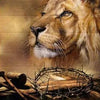 A close-up portrait of a male lion with a majestic mane looking to the side.