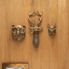 A set of bronze deer head storage hooks and wall decor mounted on a wooden surface.