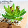 Artificial Succulent Bonsai for Desk & Home Decor