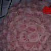A close-up of a large bouquet of pink glitter artificial roses.