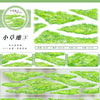 Ruban adhésif vert naturel pour le masquage de feuilles, utilisé en jardinage et pour créer des surfaces texturées.