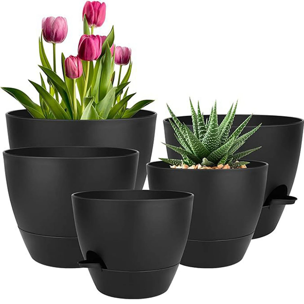 A set of five black self-watering flower pots containing pink and purple tulips.