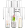 Collection de vases cylindriques en verre transparent, certains contiennent des plantes et d'autres sont utilisés comme chand