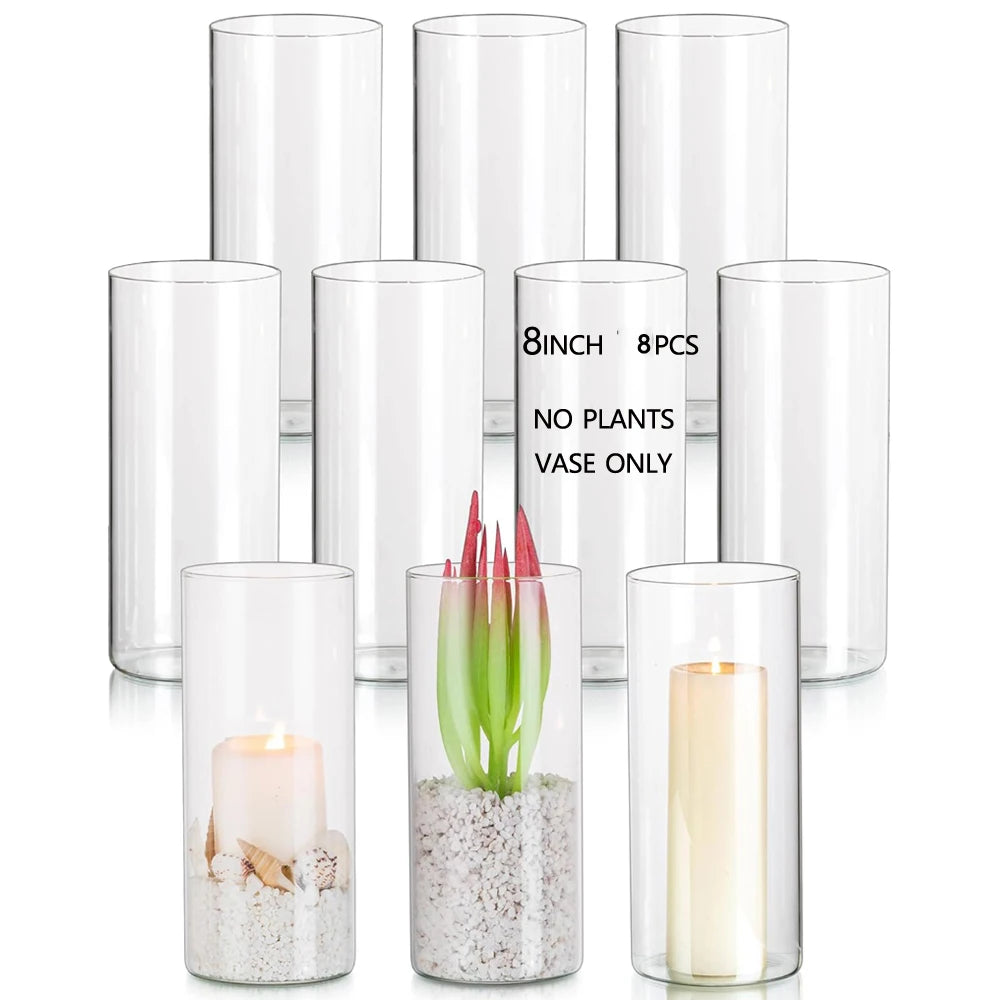 Collection de vases cylindriques en verre transparent, certains contiennent des plantes et d'autres sont utilisés comme chand