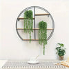 Black circular wall shelf with wooden shelves holding green artificial hanging succulent vines