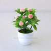 Artificial lemon tree bonsai with pink and green leaves planted in a white pot