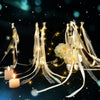 Elegant LED glow wands with ribbons and bells suspended against a dark background.