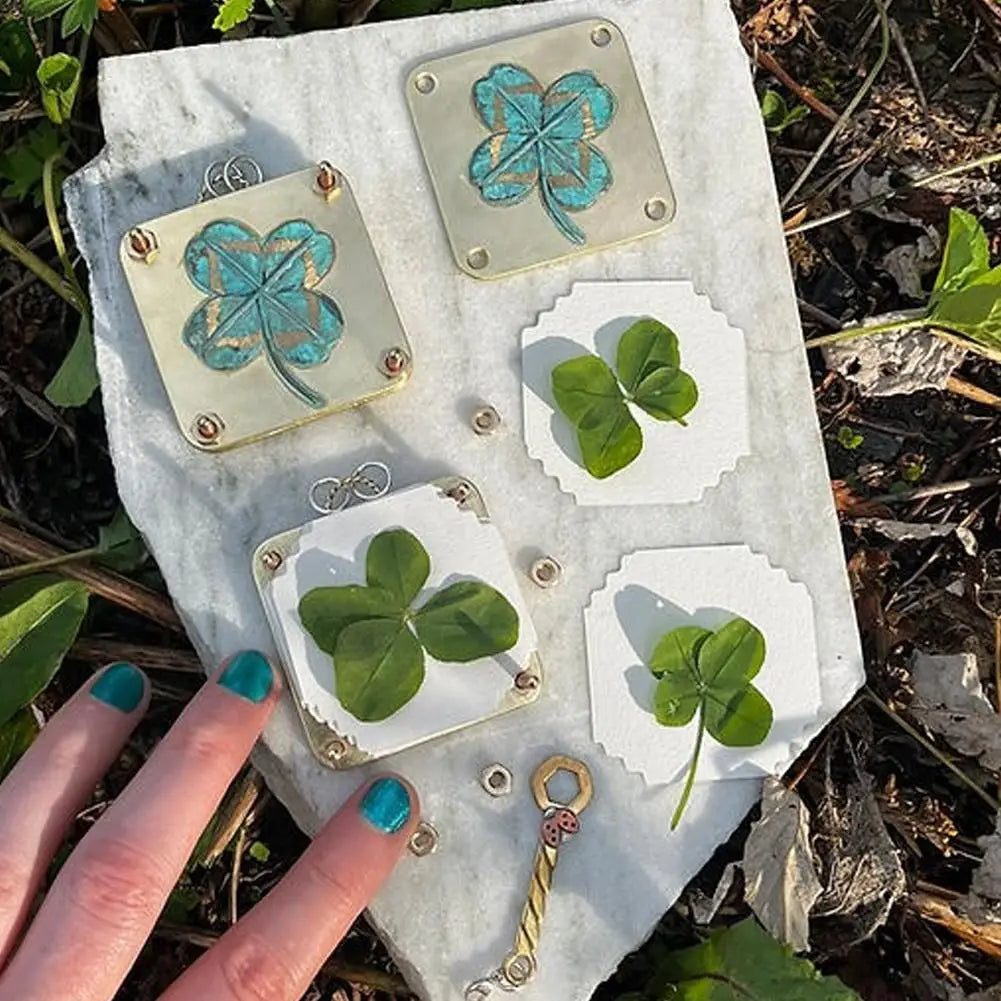 A white stone features several pressed blue and green flowers, including clover shapes, used for dried flower crafts.