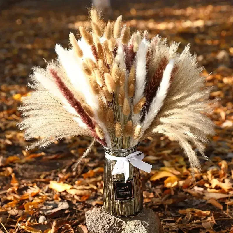 Bouquet de queues de lapin de pampas séchées dans un bocal en verre sur le sol