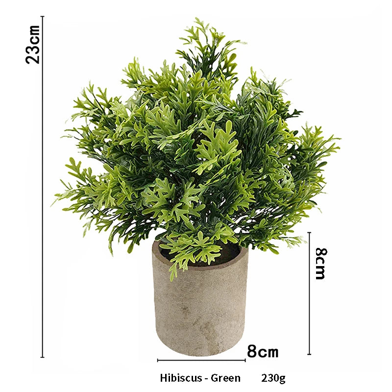 A vibrant green hibiscus plant in a rustic pot, measuring 23cm high.