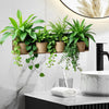 A display of various green potted plants hanging on a wooden wall shelf in a modern bathroom setting.