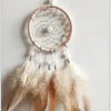 A dream catcher pendant featuring a crystal mirror and long, light brown feathers.