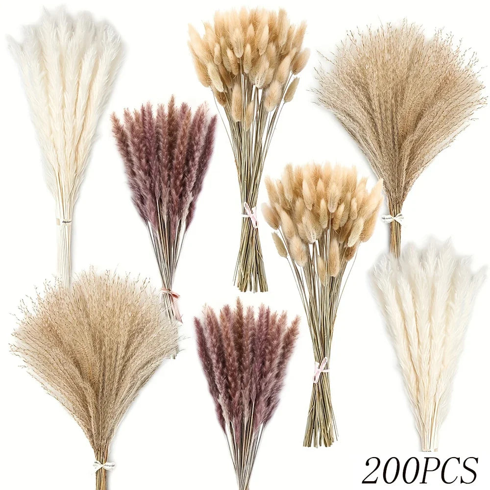 Collection de queues de lapin à partir d'herbe de pampas séchée dans diverses nuances de beige, brun et crème.