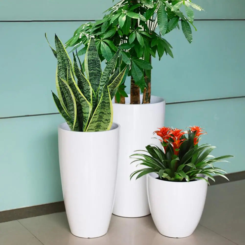 A white resin planter holding a large green Monstera plant with long leaves.