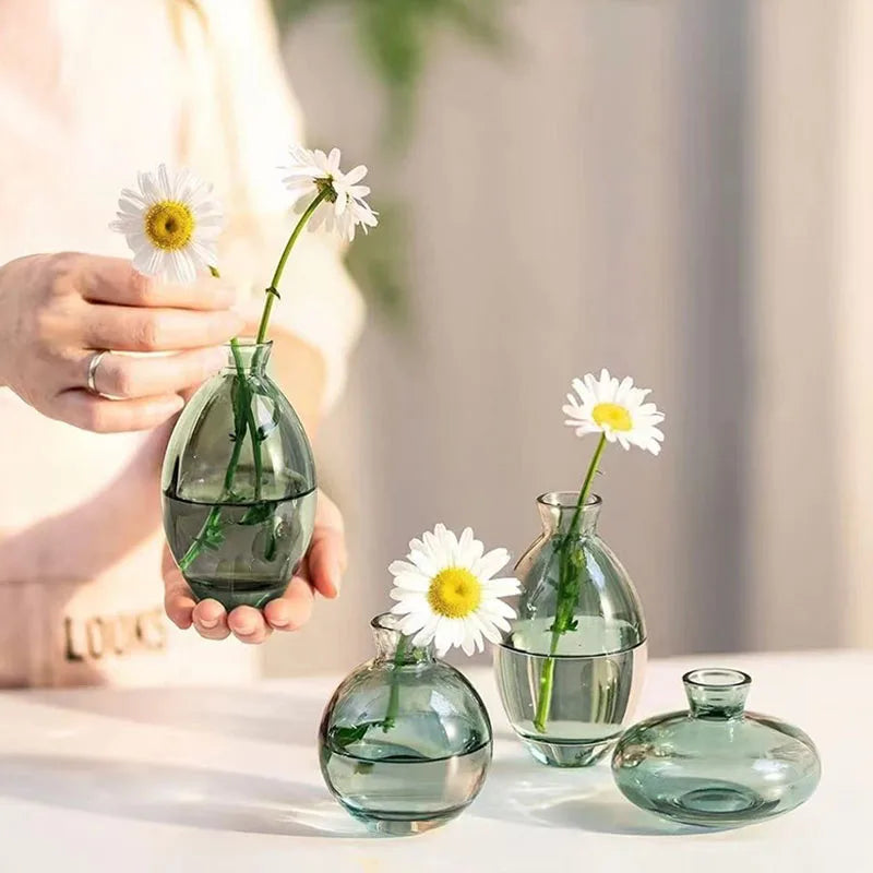 A hand holds a glass bud vase with a white daisy, alongside two other minimalist glass vases.