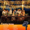 String of solar LED icicle lights hanging outdoors with a group posing beneath them.