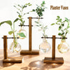 A set of glass hydroponic terrarium vases with wooden stands displaying green plants.