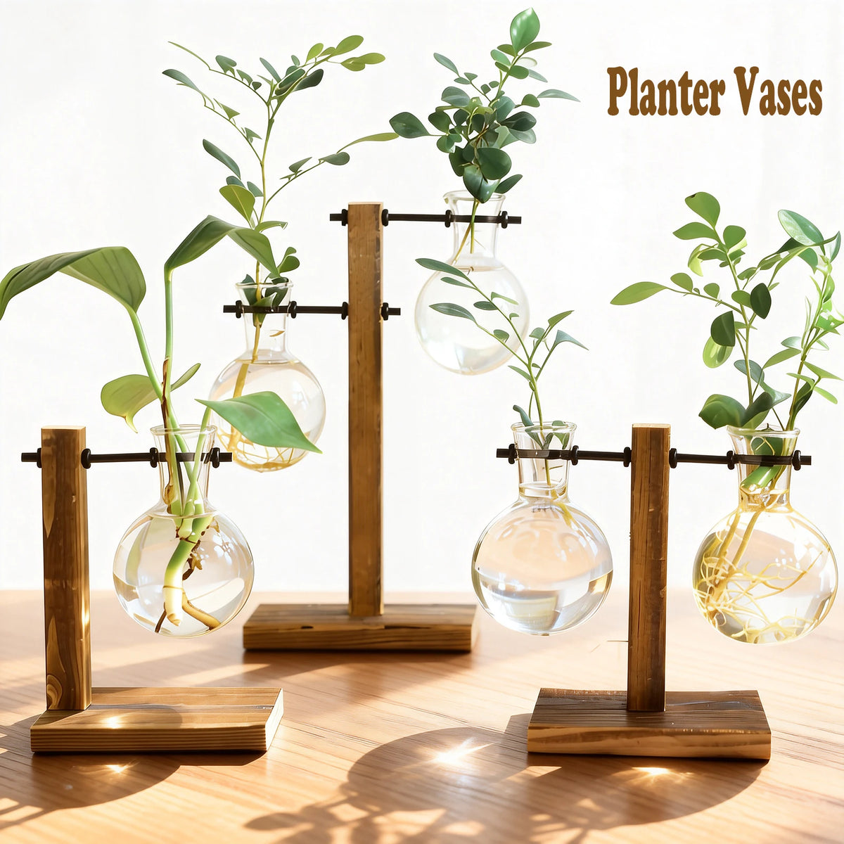 A set of glass hydroponic terrarium vases with wooden stands displaying green plants.