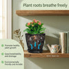 A potted plant displaying healthy roots in a black plastic pot with a visible water reservoir.