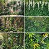 A collage of various lush green tropical foliage and moss walls used as a backdrop for photography or party decor.