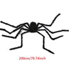 A large black plush spider decoration with eight legs against a white background.