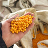 A hand holds a pile of small, round, yellow foam beads for crafting and decoration.