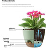A self-watering flower pot showing its components including a thickened basin mouth, absorbent cotton rope, watering lip, air