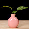Handcrafted Ceramic Mini Vase for Desk & Tabletop Decor
