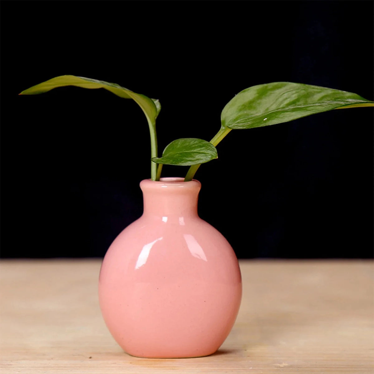 Handcrafted Ceramic Mini Vase for Desk & Tabletop Decor