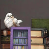 A purple wooden display box holding several books and a white bird figurine.