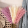 A close-up of artificial pampas grass stems in various colors including white, pink, and black.