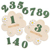 Wooden monthly milestone cards showing numbers 1 through 9 and the word month, with a large number 3 months.