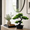 An artificial bonsai pine tree in a black pot sits on a wooden surface next to a mirror.