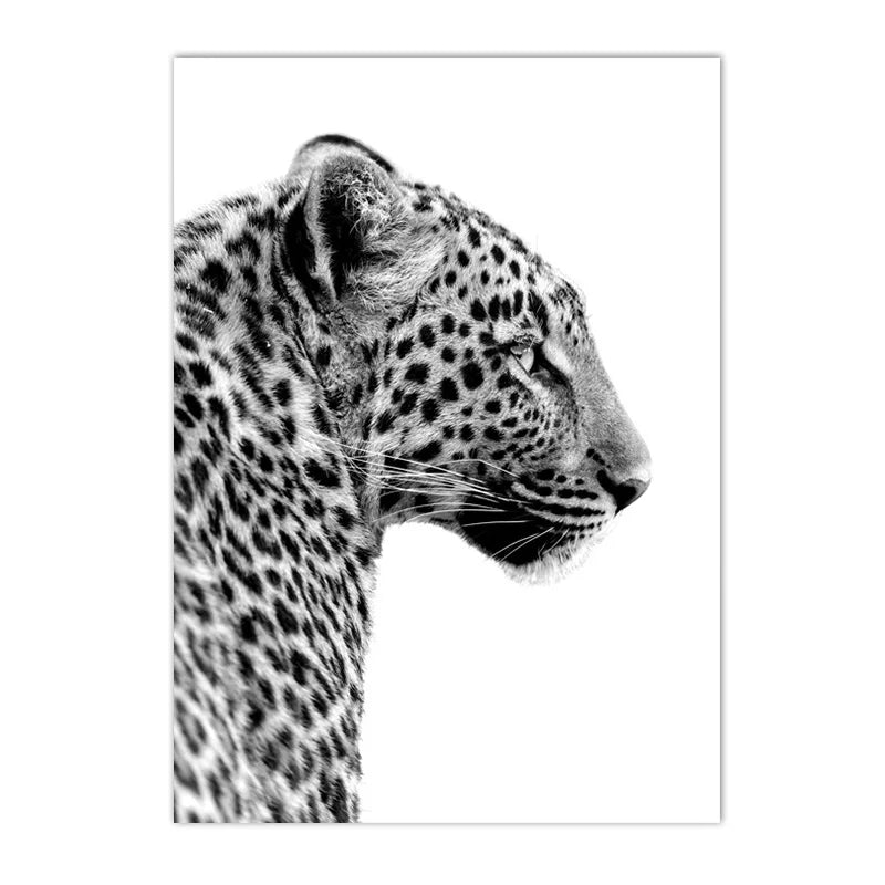Black and White Leopard and Panther Canvas Wall Art Set