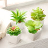 Artificial Succulent Bonsai for Desk & Home Decor