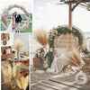 Dried pampas grass branches used as boho home and wedding decor elements.