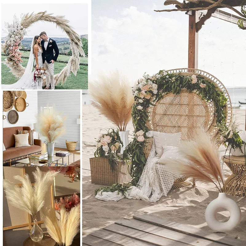 Dried pampas grass branches used as boho home and wedding decor elements.