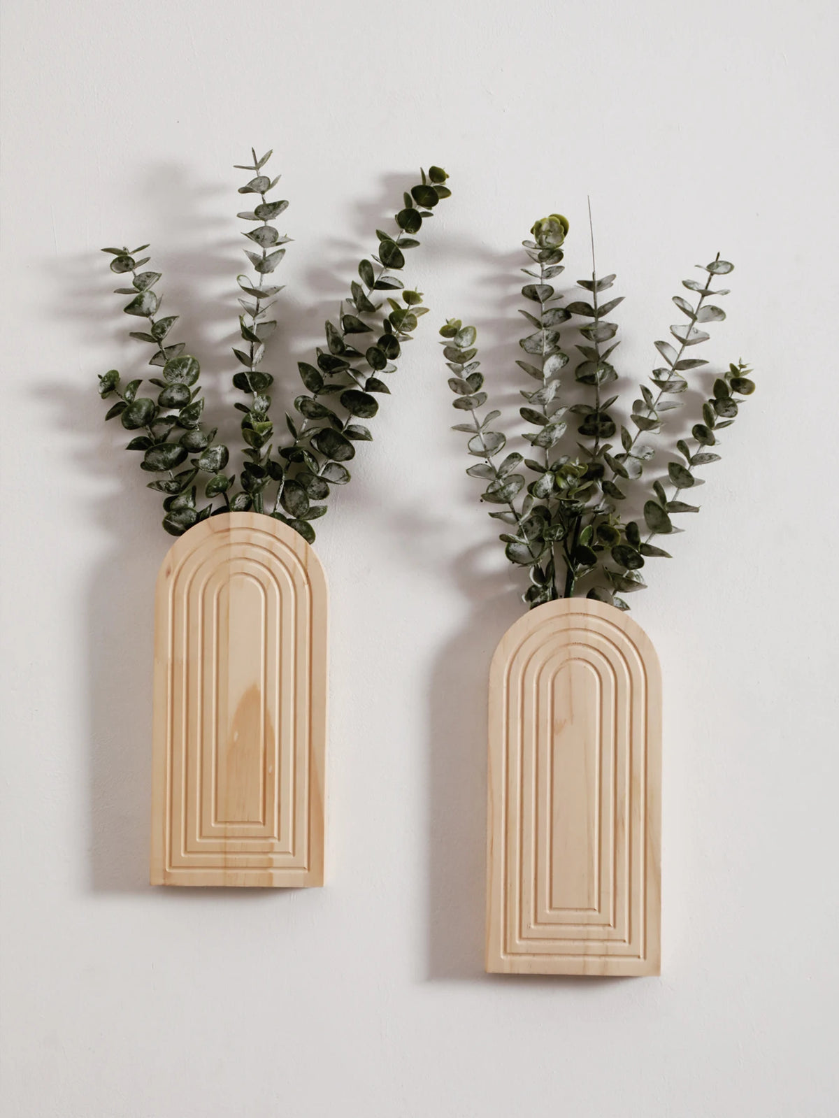 Jarrón de pared arqueado de madera con follaje verde, montado en una pared blanca.